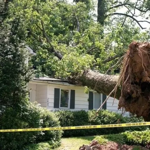 Storm & Wind Damage Repair Services in Chesterfield, MO